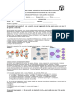 Evaluación Sumativa Octavo