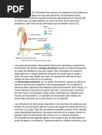 En La Generación de Movimiento Los Huesos Se Comportan Como Palancas Cuyos Puntos de Apoyo Son Las Articulaciones