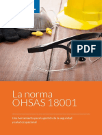 Norma Ohsas 18001