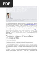 Principio de Economía Procesal y Cuál Es Su Relevancia Jurídica