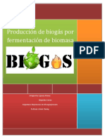 Producción de Biogás Por Fermentación de Biomasa