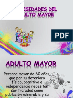 Necesidades Adulto Mayor