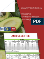 Presentacion Aguacate - ppt2