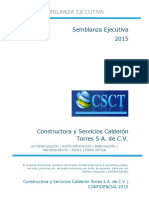 Semblanza Ejecutiva 2015