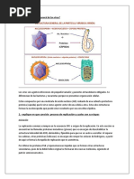 Cual Es La Estructura General de Los Virus