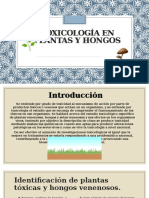 Toxicología en Plantas y Hongos