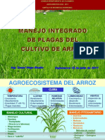 Sanidad y Manejo de Plagas en Arroz PDF