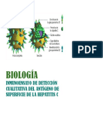 Inmunocromatografia de Hepatitis C