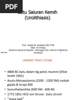 02 Urothialisis - Prof. Doddy M Soebadi