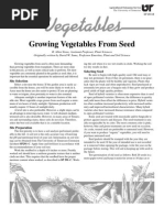 Growing Vegetables From Seed