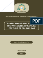 Desarrollo de Reactores de Lecho Fluido para Captura de CO PDF