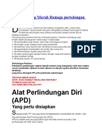 Materi Palang Merah Remaja Pertolongan Pertama