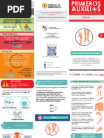 Triptico PA Heridas PDF