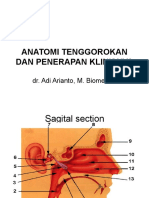 Anatomi Tenggorokan Dan Penerapan Klinisnya: Dr. Adi Arianto, M. Biomed