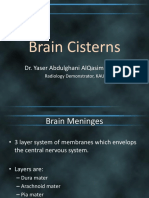 Brain Cisterns