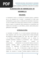 Informe 1 Elaboracion de Mermelada