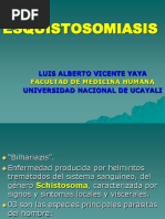 ESQUISTOSOMIASIS