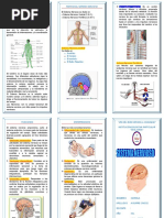 El Sistema Nervioso Triptico