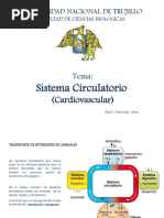 3.1 Sistema Cardiovascular Hemodinamica