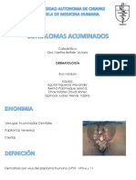 Condilomas Acuminados. Dermatología