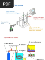 Cromatografia Gasosa