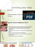 Human Papilloma Virus