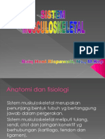 Anatomi Fisiologi Musculoskeletal