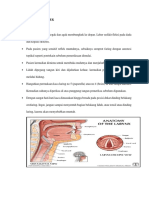 Laringoskopi Indirek