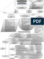 Mapa Mental Prematuro 2014