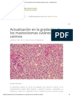 Actualización en La Gradación de Los Mastocitomas Cutáneos Caninos - Citopat Veterinaria