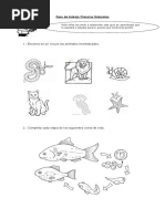 Guía de Trabajo Ciencias Naturales Animales