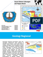 Makalah Cekungan Salawati Papua