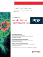 Introduction To Fluorescence Techniques: Fluorophores and Their Amine-Reactive Derivatives