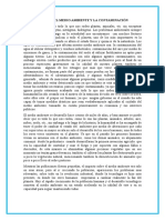 Ensayo Del Medio Ambiente y La Contaminación