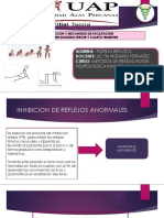 Inhibicion y Mecanismo de Facilitacion 1 - , 2 - 3 - 4 - Trimestre