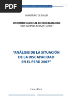 Analisis de La Discapacidad en El Peru - 2007