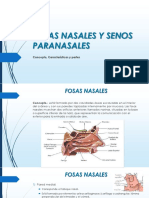 Fosas Nasales y Senos Paranasales