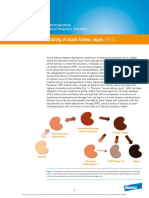 Injuria Renal Aguda PDF