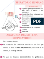 Tema 2 Sistema Respiratorio