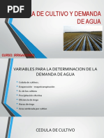 Cedula de Cultivo y Demanda de Agua