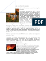 Causas y Consecuencias de Los Incendios Forestales