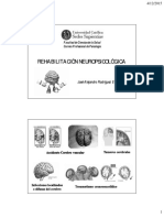 Rehabilitación Neuropsicológica