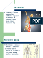 Miscarea Sistemul Locomotor