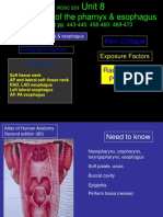 Radiography of The Pharnyx & Esophagus: Film Critique