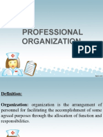 Professional Organization