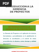 Introduccion A La Gerencia de Proyectos - CONSTRUCCION I