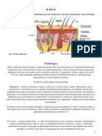 Apostila Sobre Pele PDF