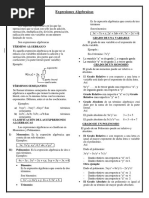 Expresiones Algebraicas