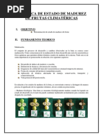 Practica de Estado de Madurez de Frutas Climatéricas