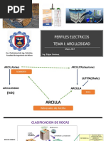 Arcillosidad